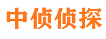 新龙寻人公司